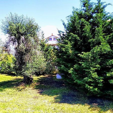 Ever Green Kávos Zewnętrze zdjęcie